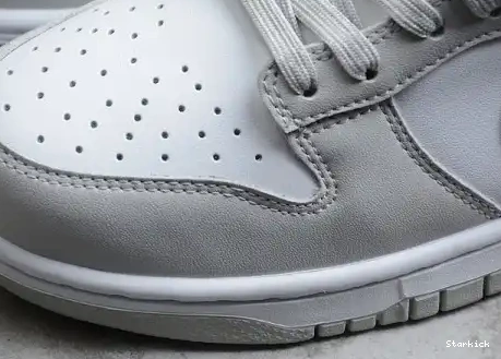 Low Dunk Nike Grey Fog DD1391-103 0610